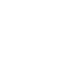 Logo SNPI